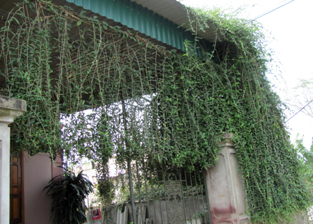 Làng khoa bảng và danh nhân nhiều đời ở Hà Tĩnh